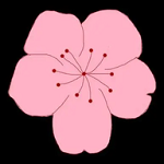 WWW,413se·COM网站APPAPP应用