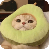 WWW,862se·COM网站APPAPP应用